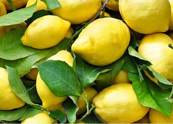 Il limone sfusato amalfitano e la pasta di J-MOMO