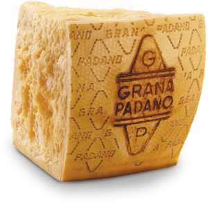 grana padano