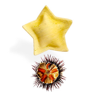 Capri's stars with sea urchin and rocket