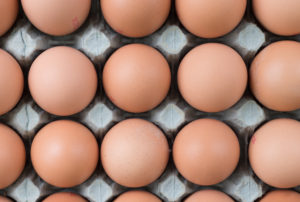 uova da galline allevate a terra