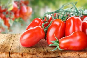 pomodoro corbarino