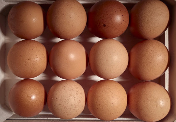 uova di gallina