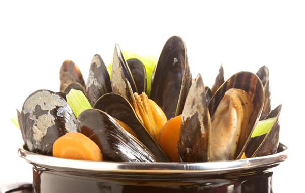pasta with mussels and beans