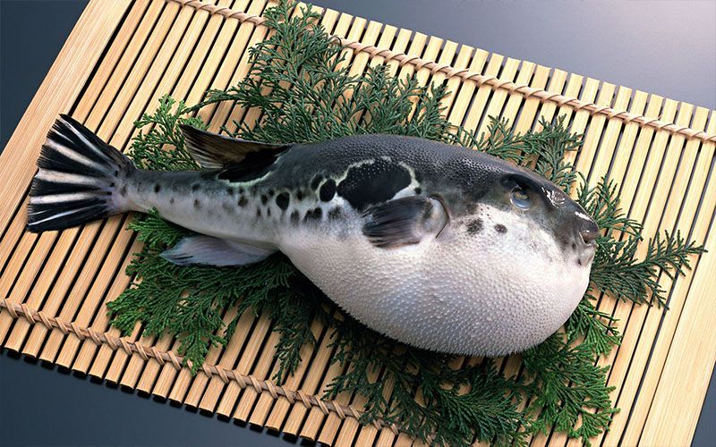 FUGU