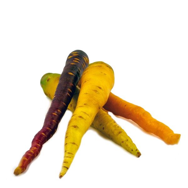 carota-di-polignano-presidio-slow-food